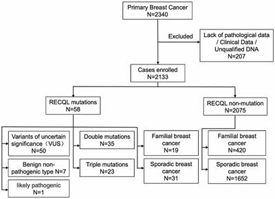 Germline RECQL gene mutations in Chinese patients with breast cancer